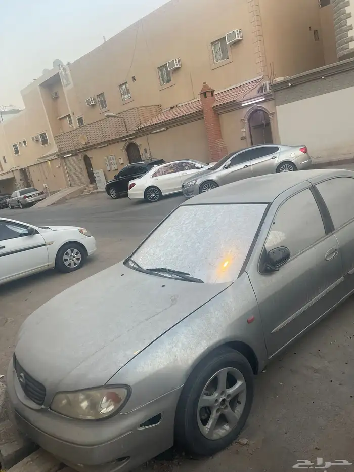 مكسيما قير عايدي 2