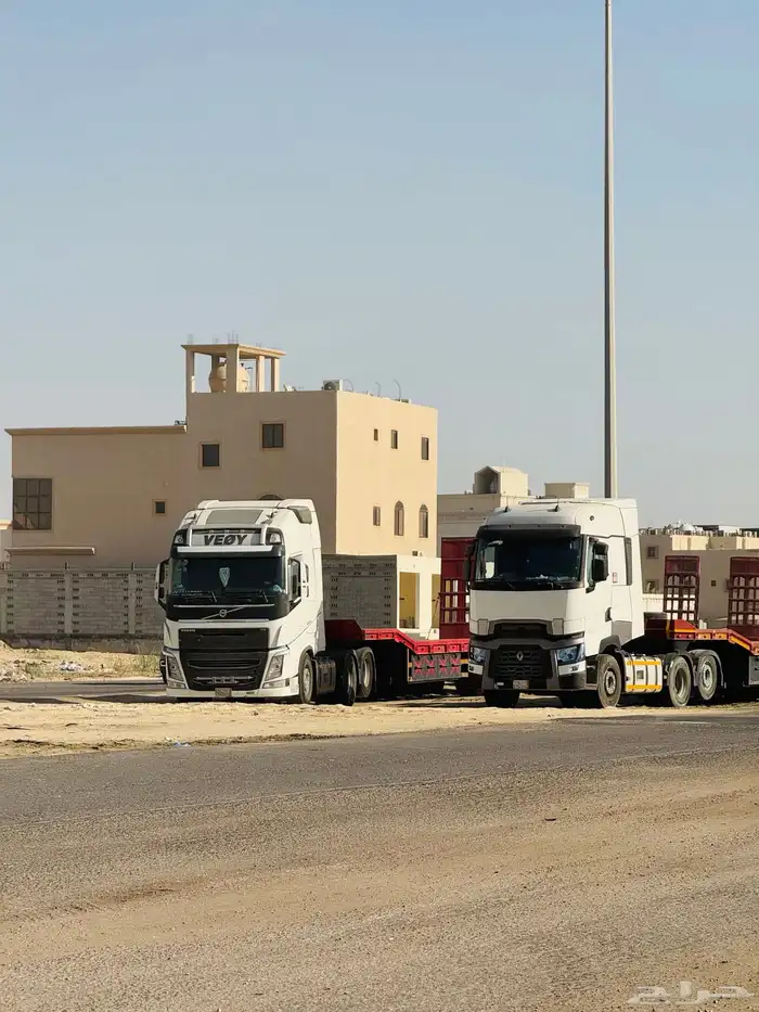 لوبد في الدمام 0