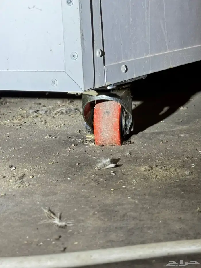 فقاسه حجم 3000 بيضه 4