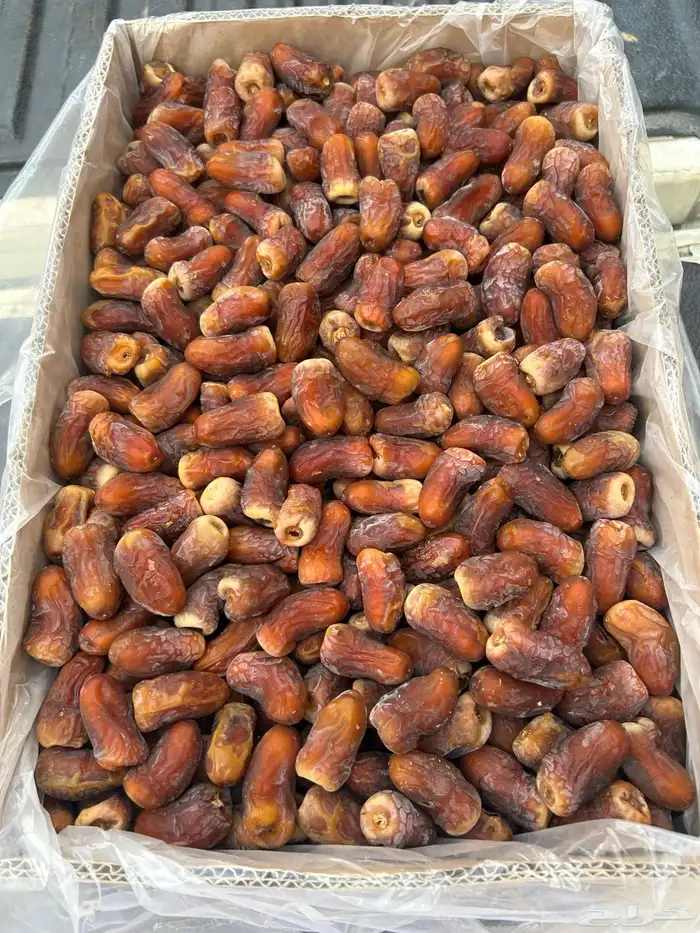 تمر برني العيص 0