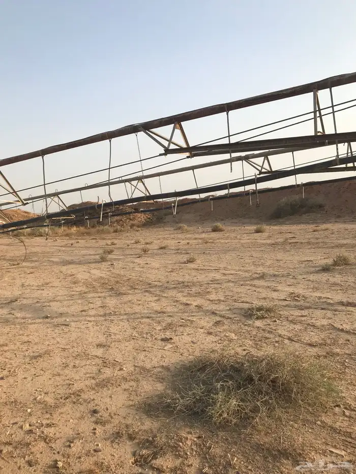 برجين زمتك بدون قاعده 5