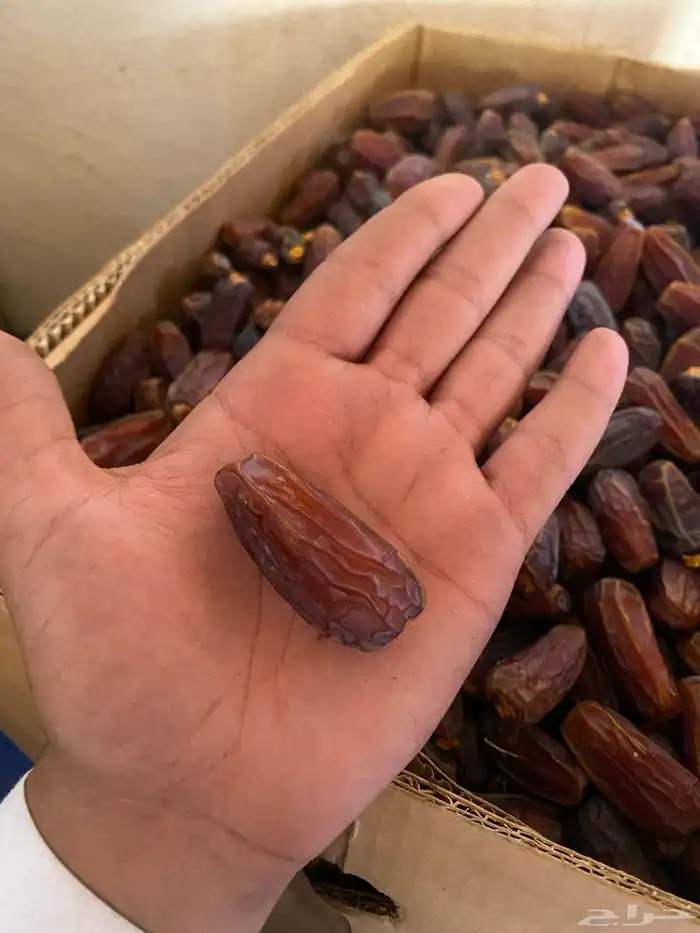 تمور للبيع حق السنة هاذي 1