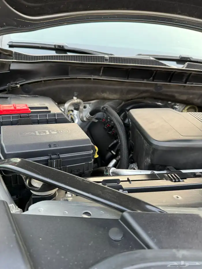 تاهو 2022 LS 21