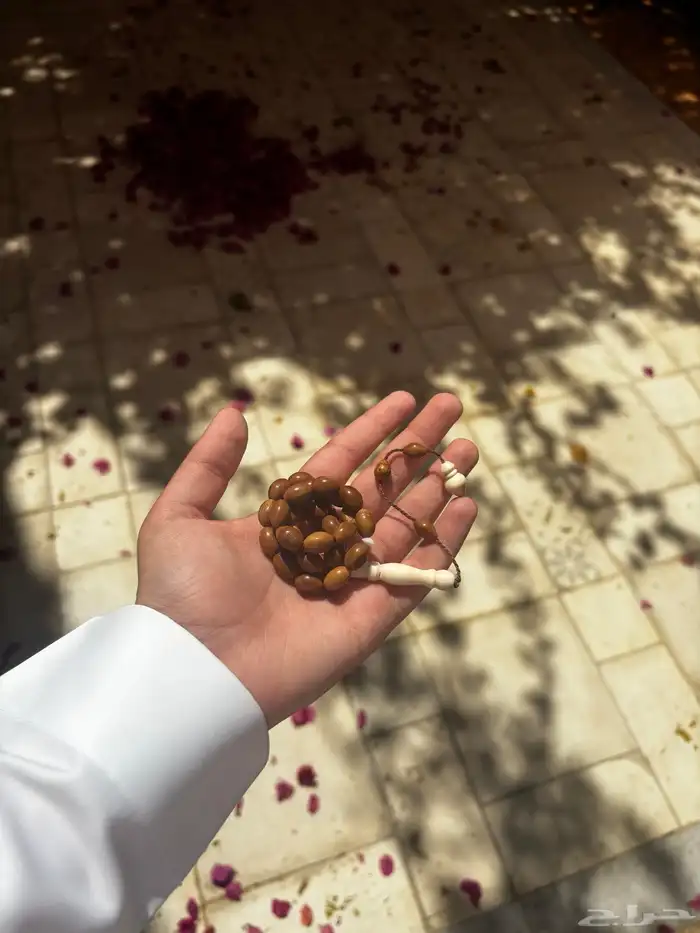 مسباح كوك مع عضم 0