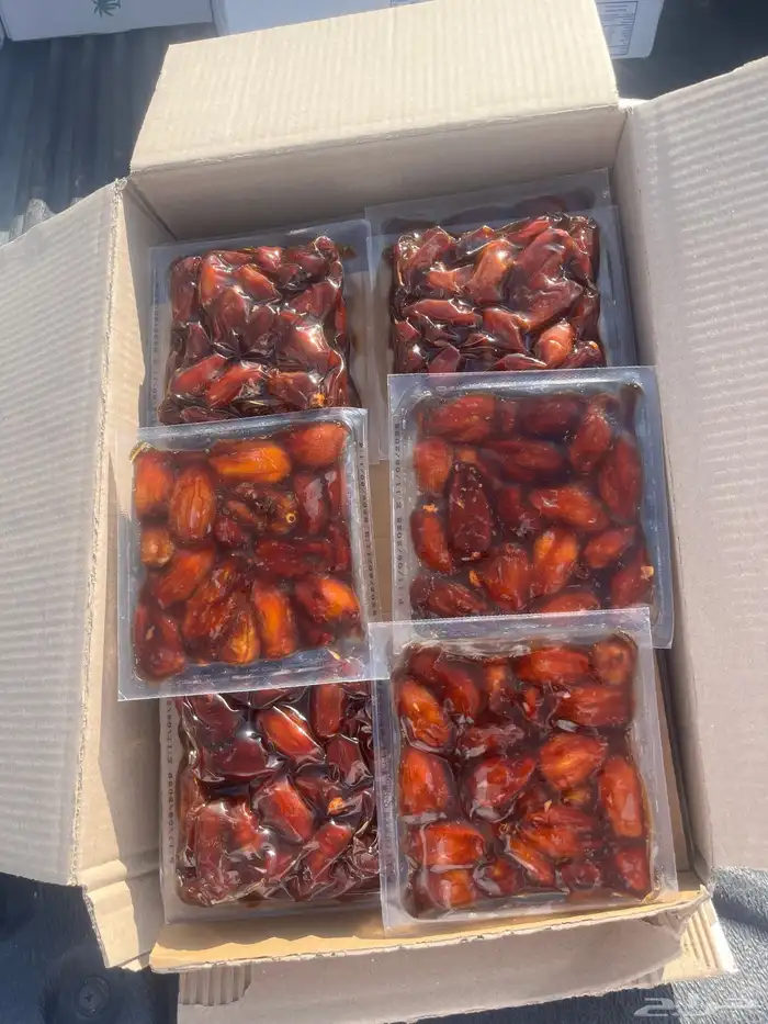 تمر صفري بيشه 1