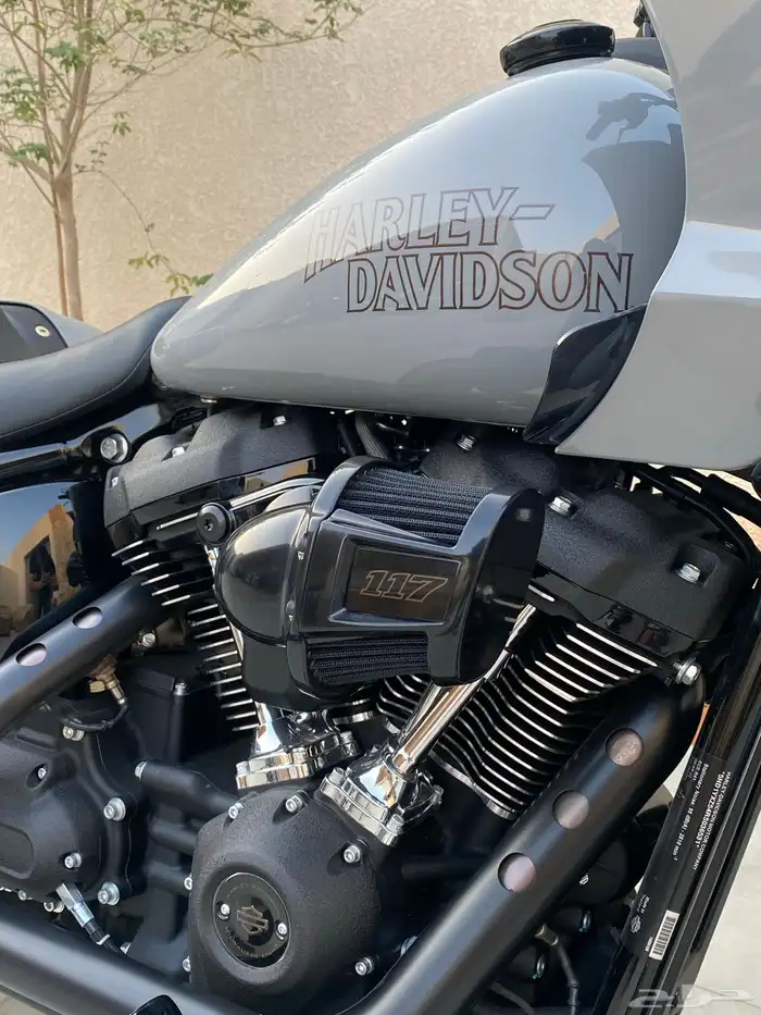 للبيع هارلي - لو رايدر ST - جديد 2024 5