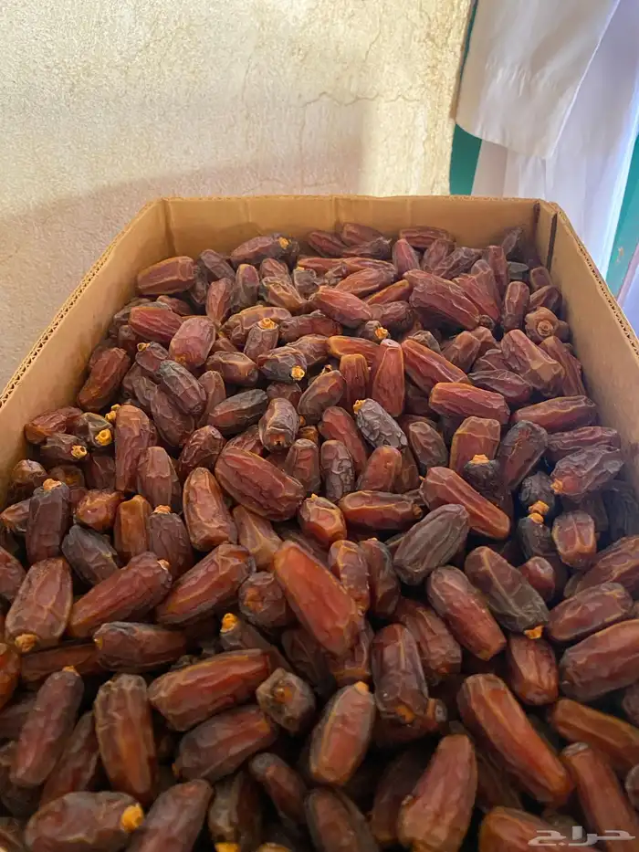 تمور للبيع حق السنة هاذي 0