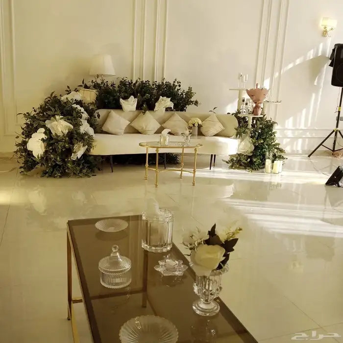 منسق حفلات 17