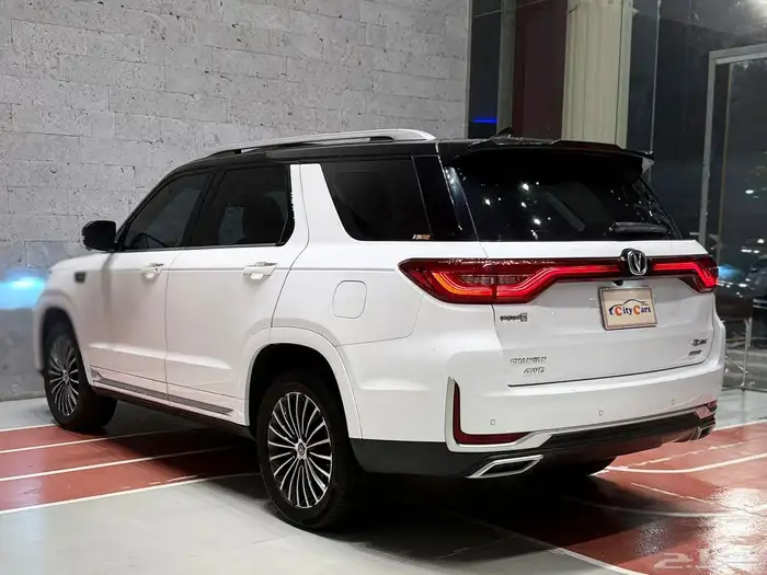شنجان CS95 19
