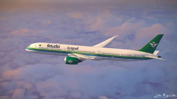 الضمان وحساب المواطن 4