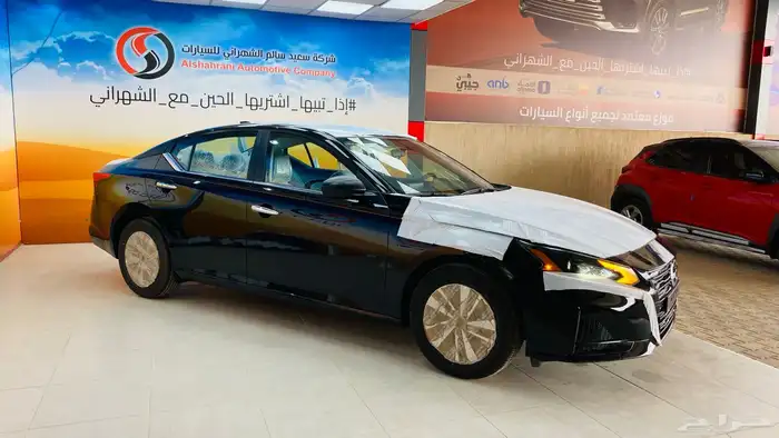 التيما ستاندر 2025 35