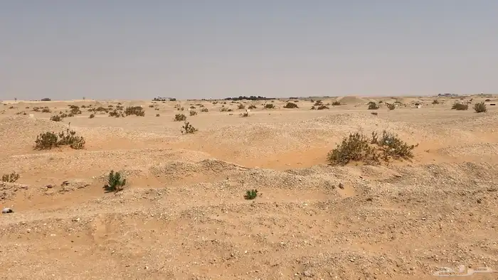 ارض سكنية للبيع بمخطط الخير 7
