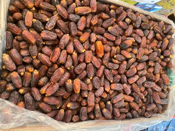 تمور للبيع حق السنة هاذي 3