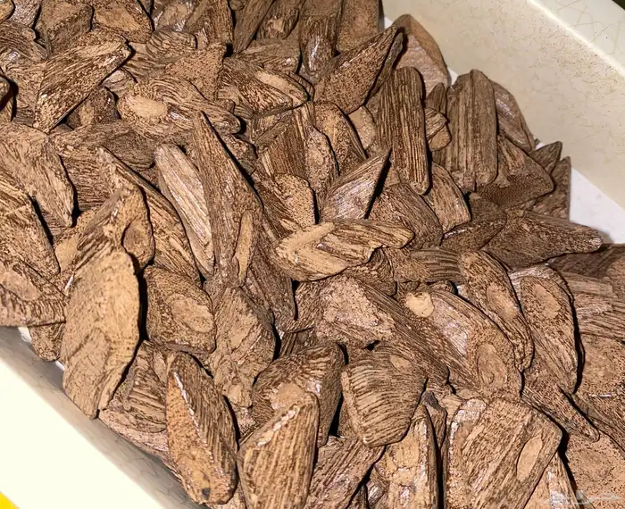 بخور عود موروكي 0