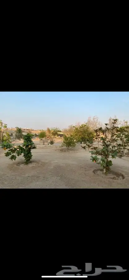 استراحة لل ايجار في حي الحرازات 5