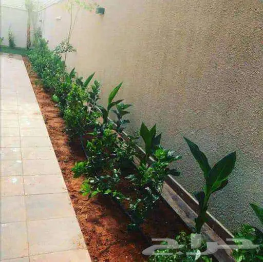 منسق حدائق الرياض والخرج 3