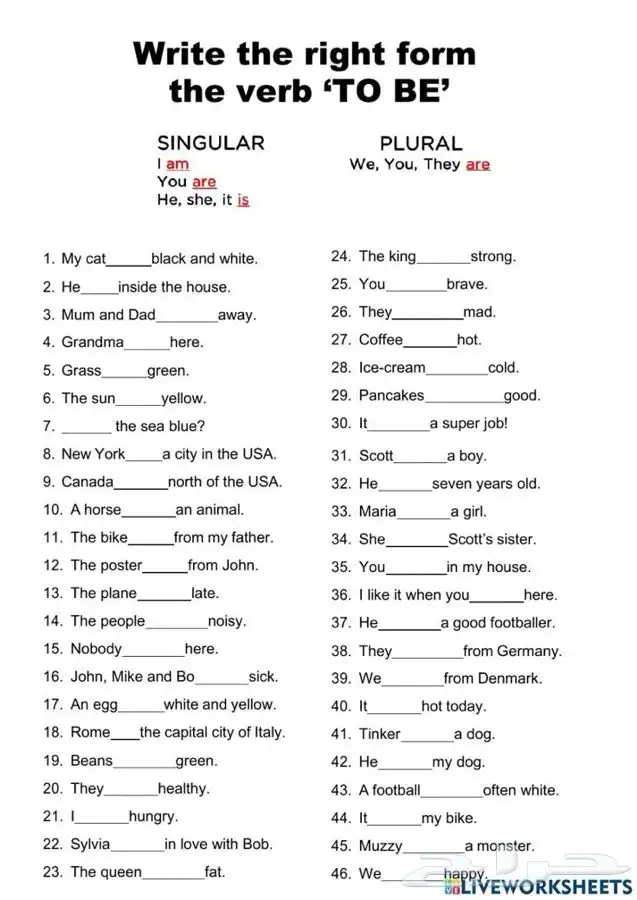 معلمه انجليزي 0