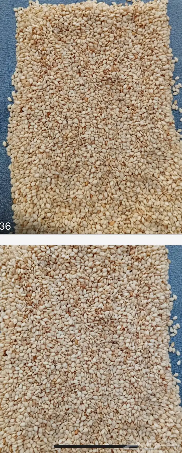 الرياض حي النور مؤسسة امتياز الخليج للمواد الغذائية 4