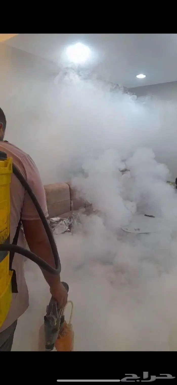 شركة مكافحة حشرات بجازان مكافحة الصراصير والفئران وبق الفراش 0