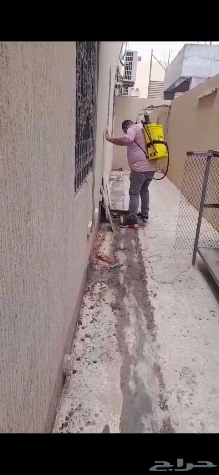 شركة مكافحة حشرات بجازان مكافحة الصراصير والفئران وبق الفراش 3