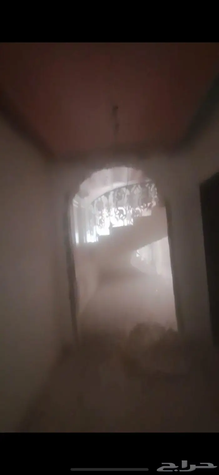 صباغ الاحساء 5