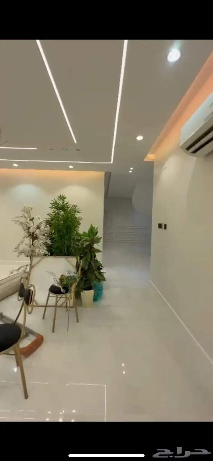 صباغ الاحساء 11