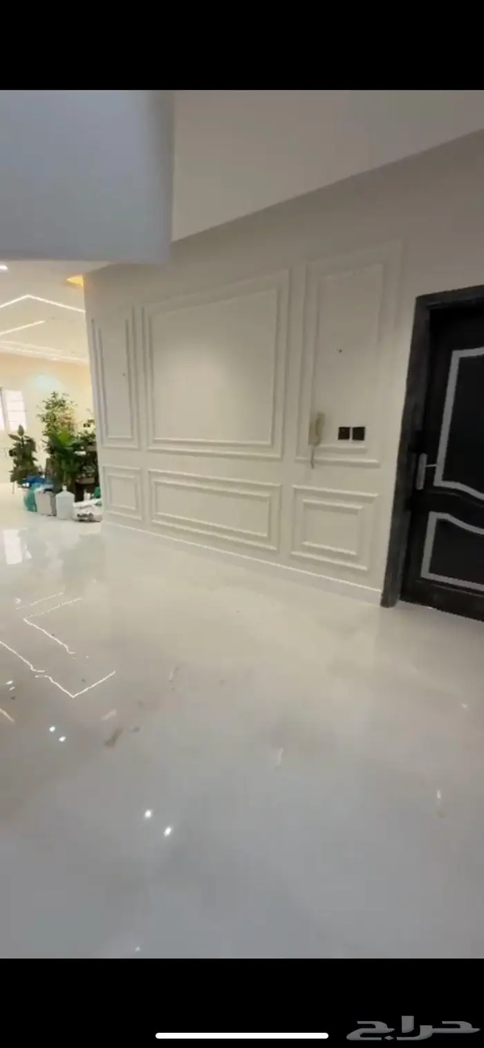 صباغ الاحساء 1