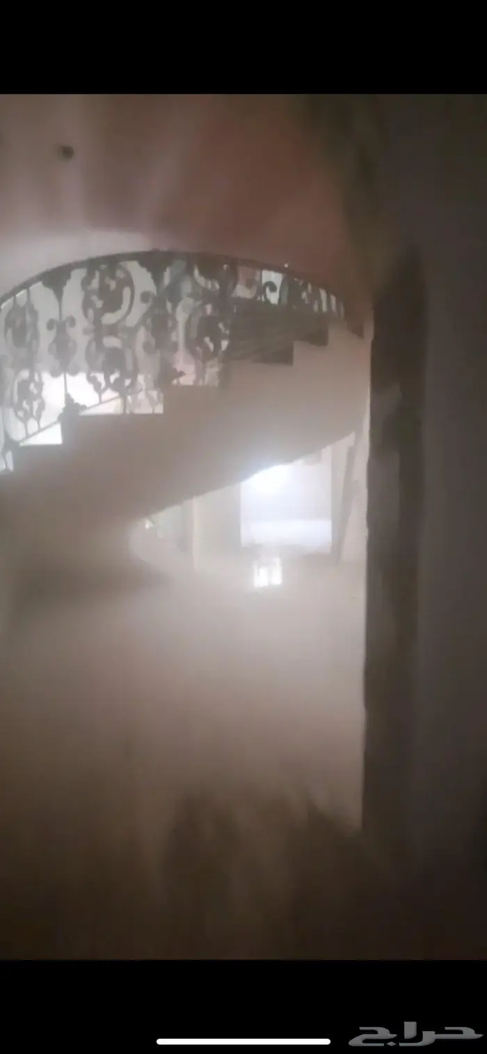 صباغ الاحساء 13