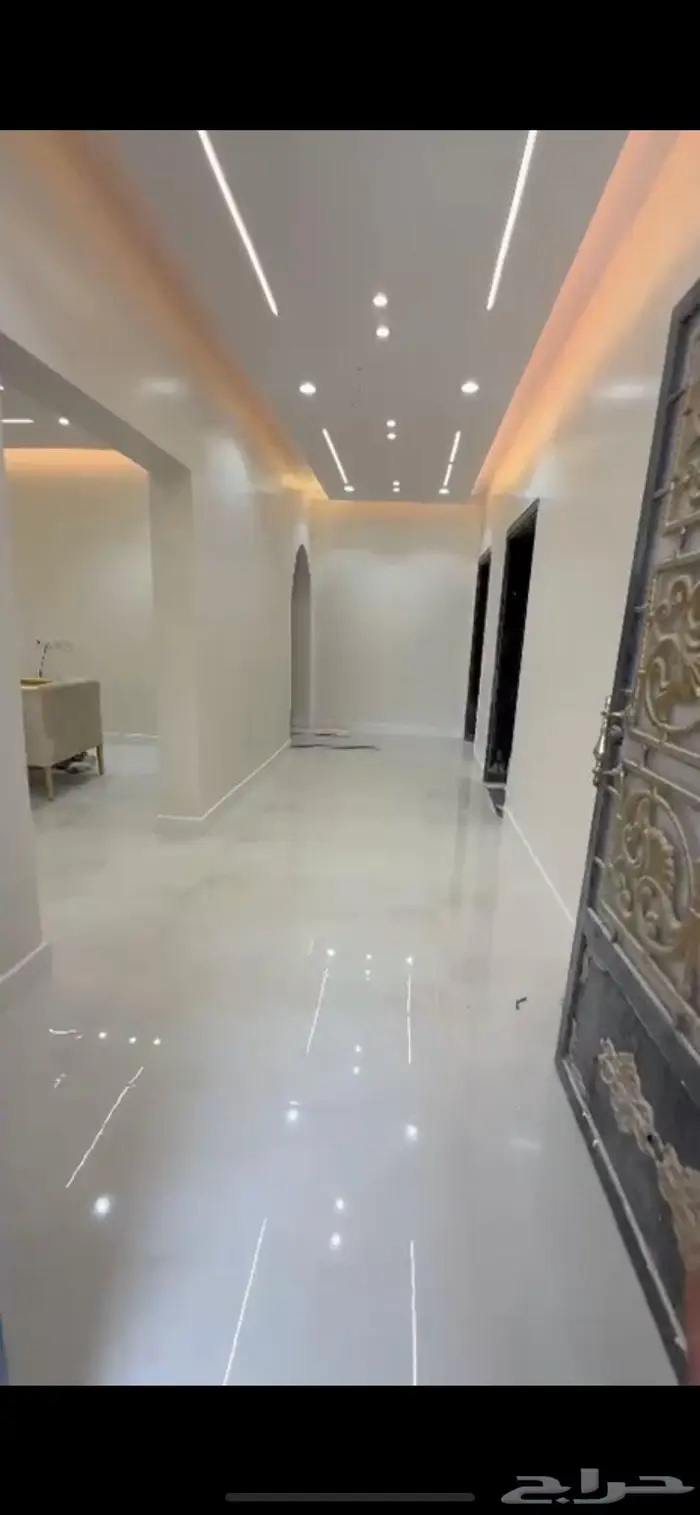 صباغ الاحساء 2