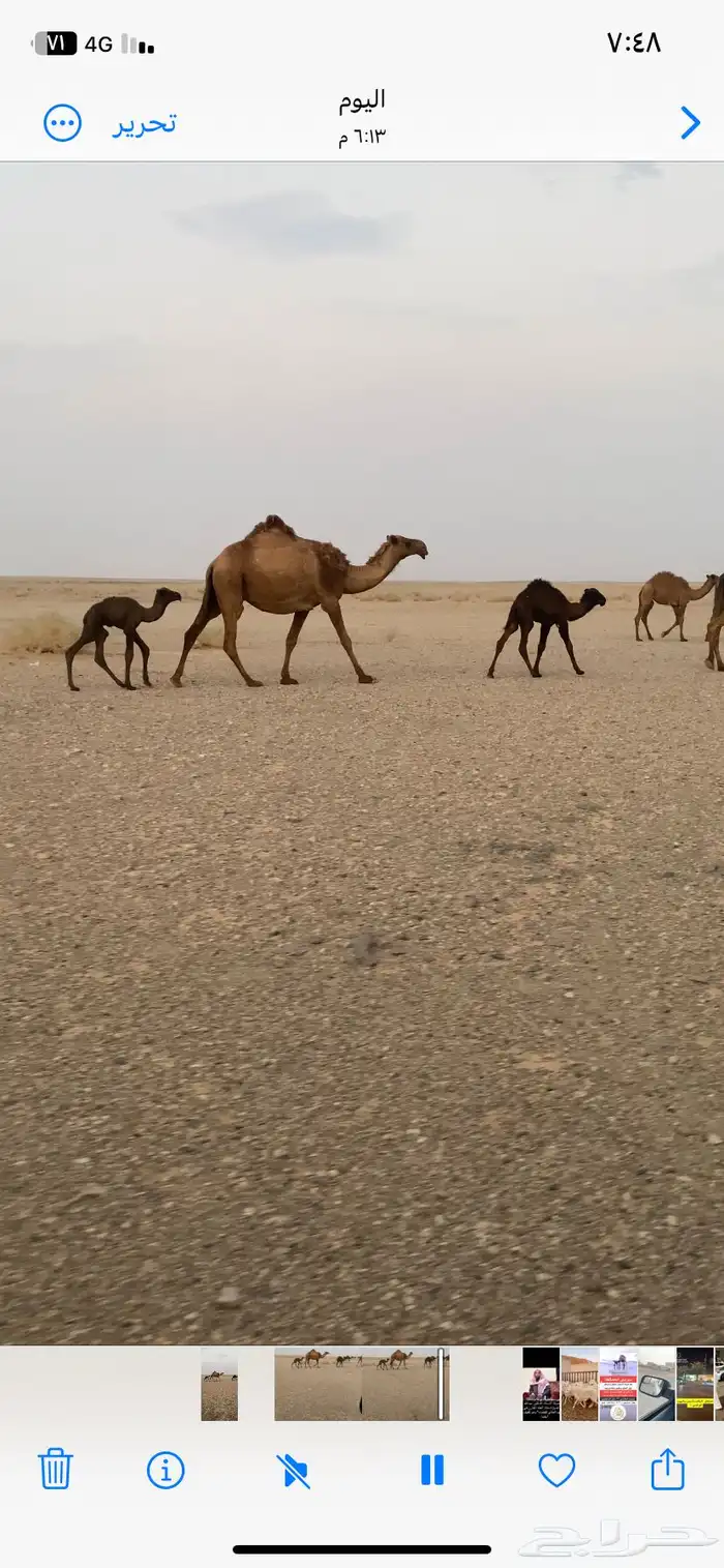 لبيع الخلفه 0