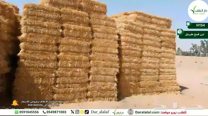 تبن قمح طبرجل 0