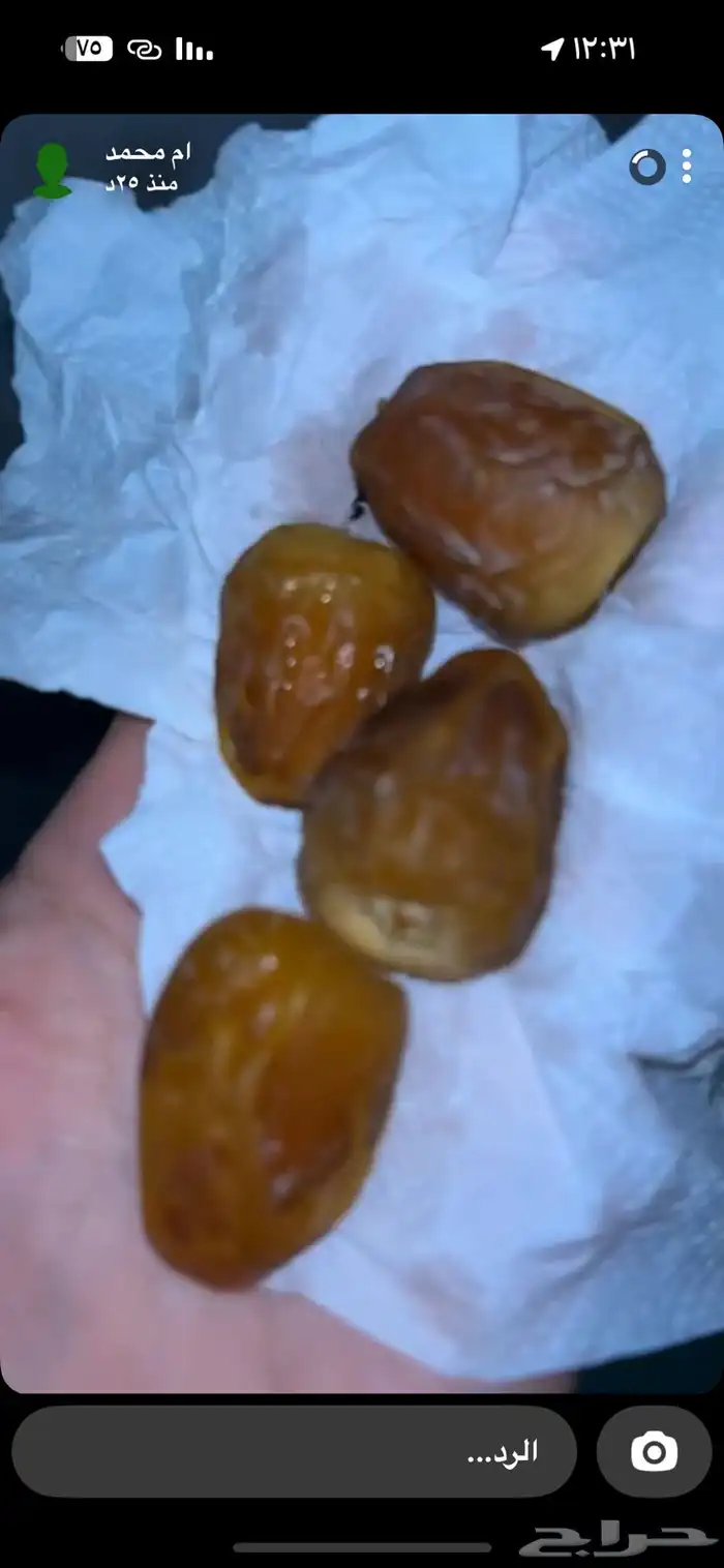 عروض اليوم الوطني مفتل ملكي بينبع 0