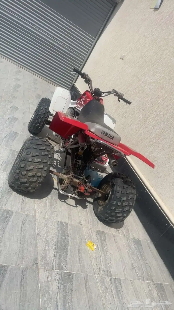 دباب 4