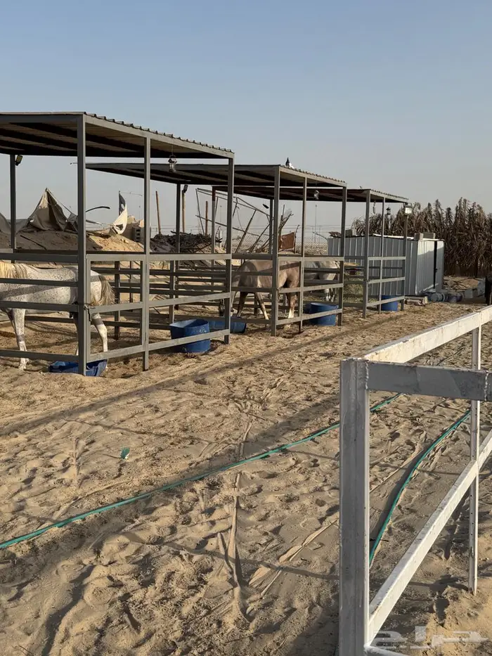ايواء عسف تدريب 4