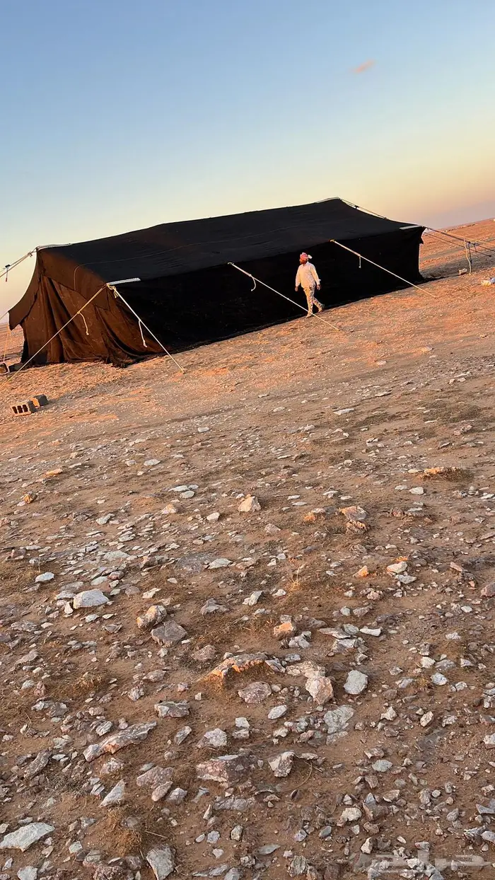 للبيع بيت شعر (مقورن ) 0