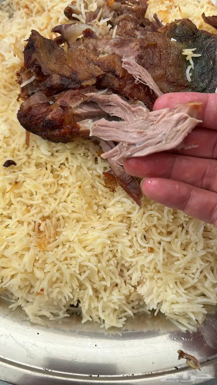 طبخ مندي لحم ودجاج في الجبيل بجذوع النخل و الحطب 1