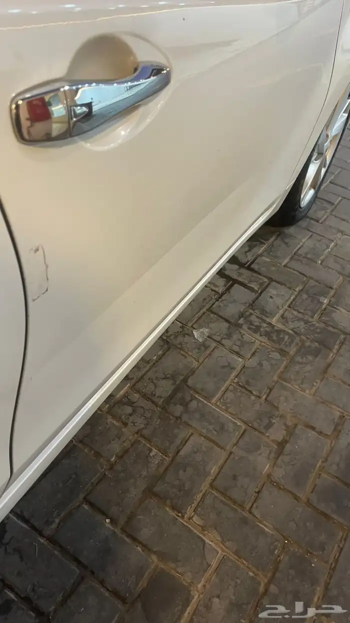 التيما 14