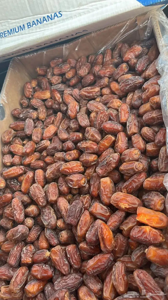 تمر كفو للبيع الموقع بيشه 0