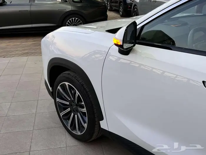 جيتور داشينج 2025 فخامة تتحرك معك 6