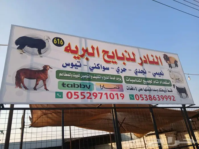 خرفان نعيمي تابي وتمارا 0