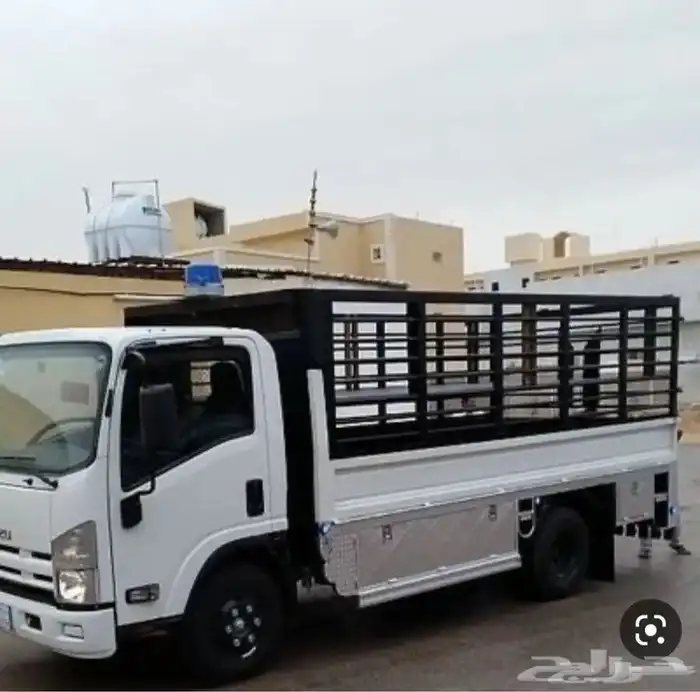 دينات 1