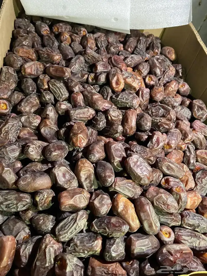 تمر خضري وخلاص 0
