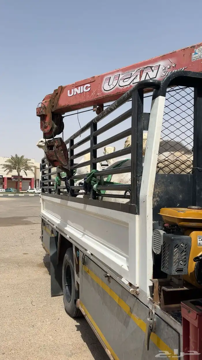 دنه ابل 0