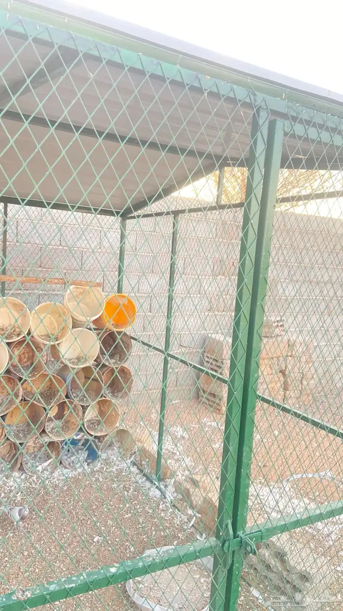 شبك حمام للبيع 4