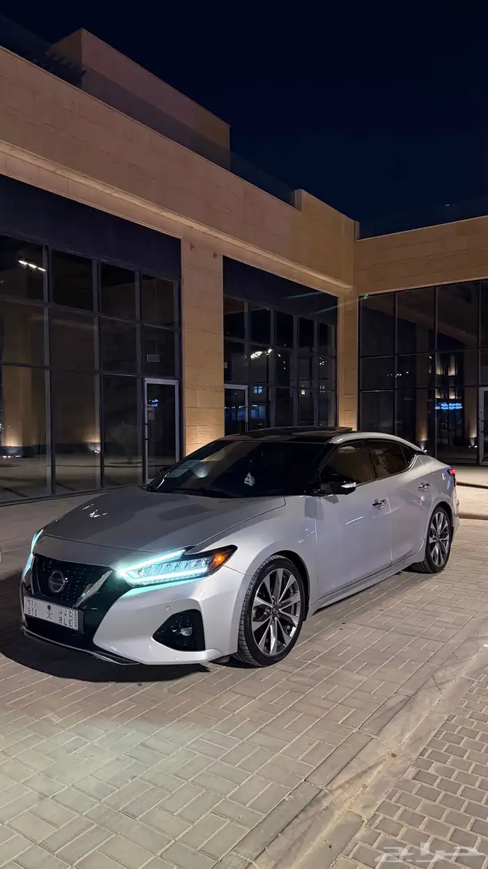 نسيان مكسيما 2020 5