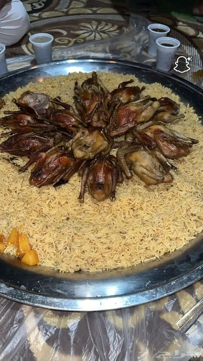 فراااخة حمام فرنسي على كيف كيفك 4