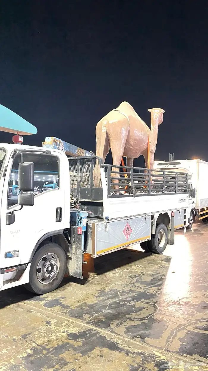 دينه للنقل الابل 0