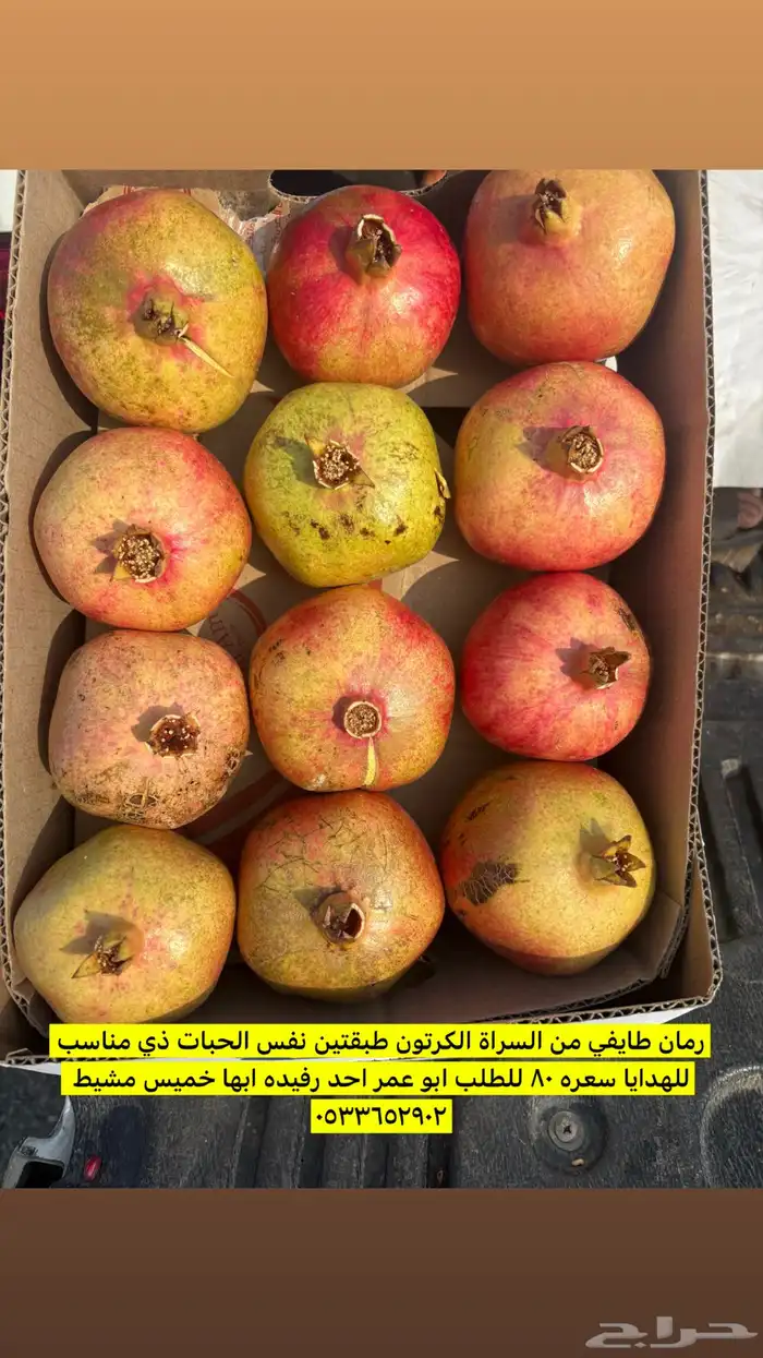 رمان طايفي من سراة عبيدة 0