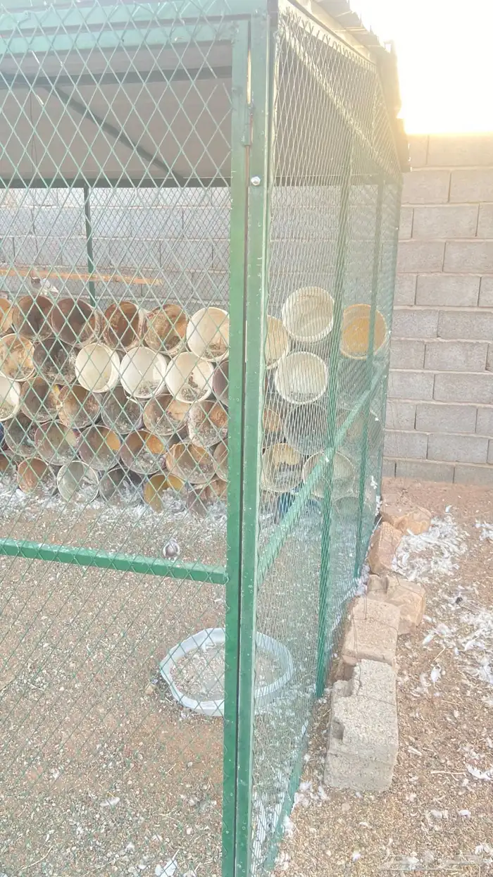 شبك حمام للبيع 5
