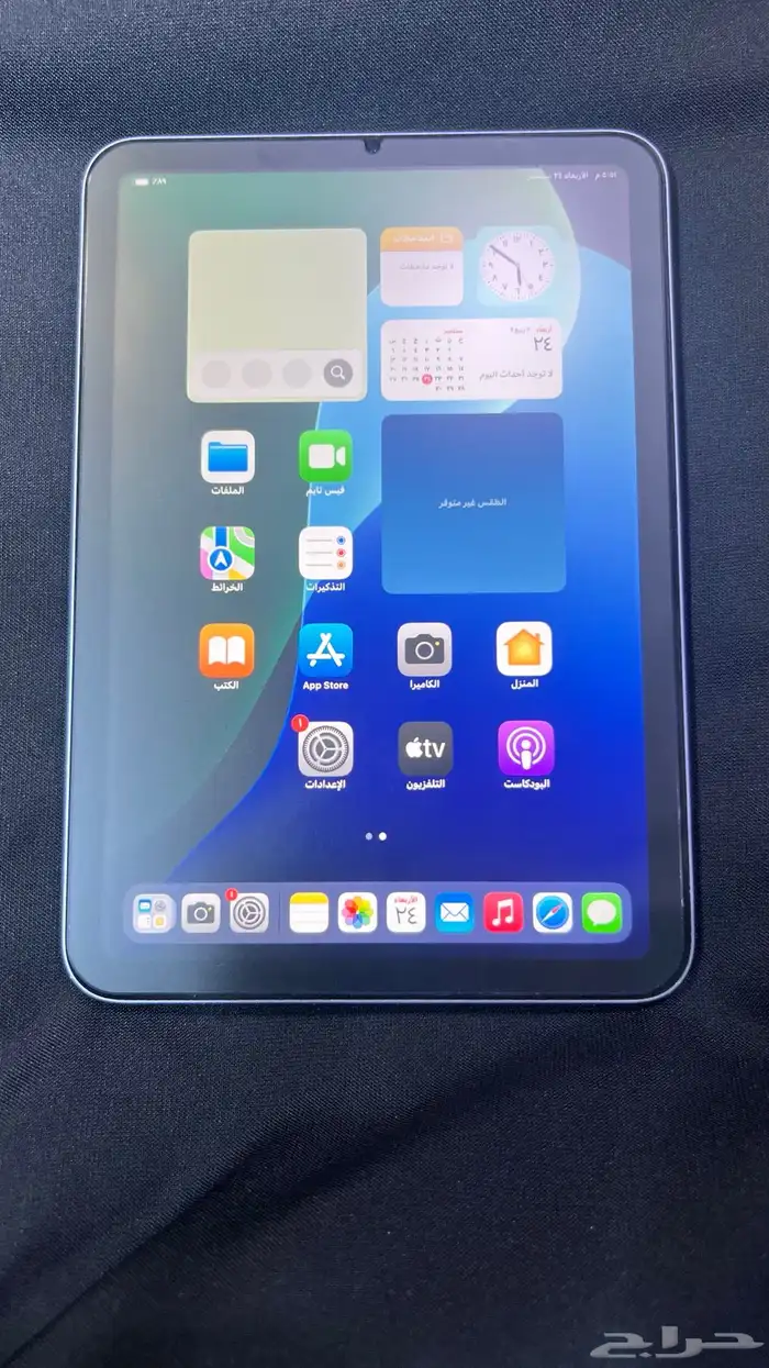 iPad mini 6 0
